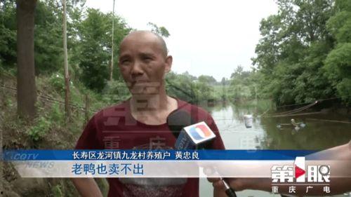 老黄鸭在线观看国产,老黄鸭在线观看，感受国产动画的魅力