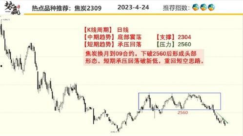 国产网站在线的播放H