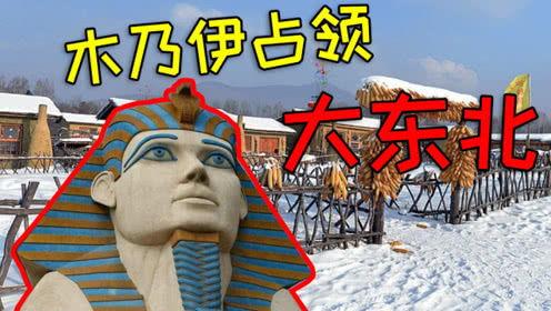 丸子叨叨叨国产在线观看,国产喜剧盛宴，在线观看笑翻天