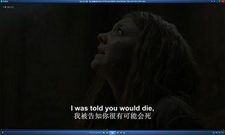 a 国产字幕在线观看