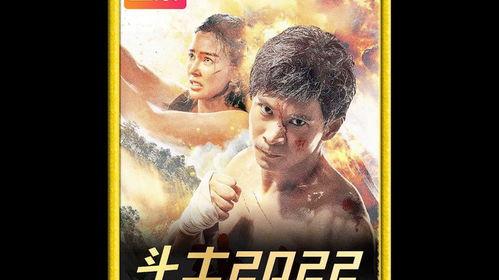 国产电影动作在线观看网站,揭秘国产电影在线观看网站